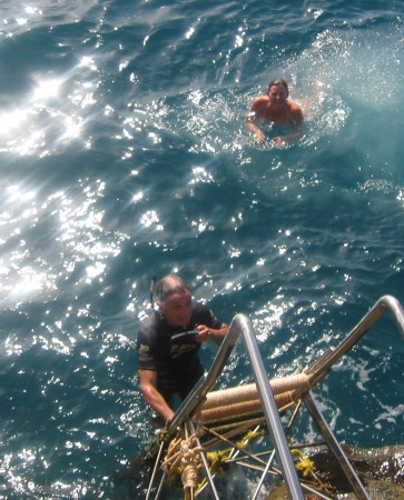 On descend à l'eau par une échelle